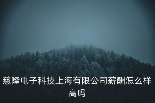 慈隆電子科技上海有限公司薪酬怎么樣高嗎