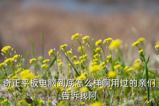 奇正平板電腦到底怎么樣啊用過的親們告訴我阿