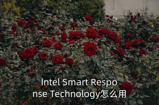 Intel Smart Response Technology怎么用