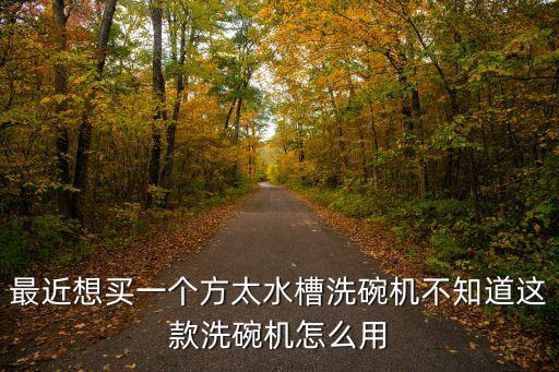 廚芯科技智能餐具怎么用，最近想買一個(gè)方太水槽洗碗機(jī)不知道這款洗碗機(jī)怎么用