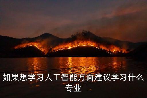 如果想學(xué)習(xí)人工智能方面建議學(xué)習(xí)什么專業(yè)