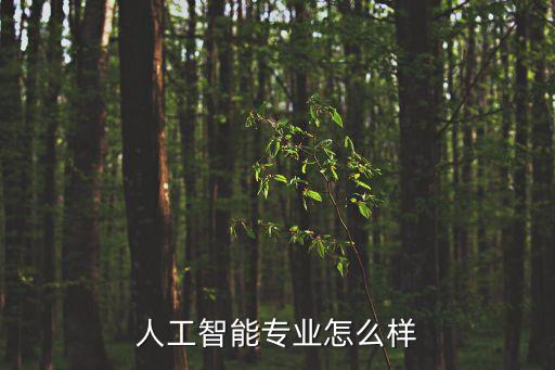人工智能專業(yè)怎么樣