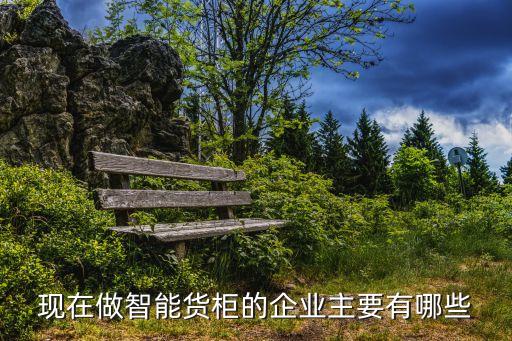 現(xiàn)在做智能貨柜的企業(yè)主要有哪些