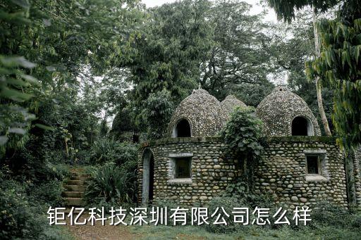 鉅億科技深圳有限公司怎么樣