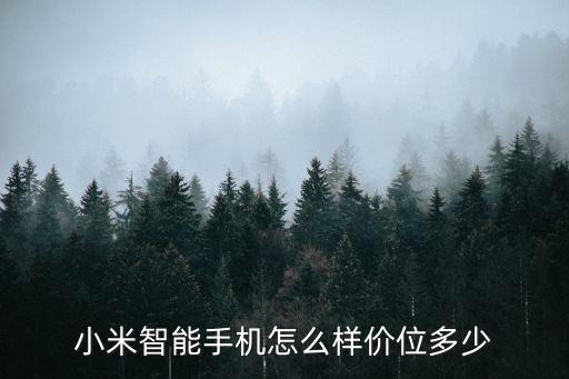 小米智能科技怎么樣，小米科技公司怎么樣福利待遇公司氣氛