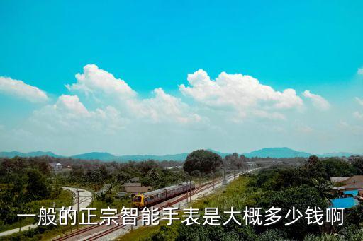 智能黑科技手表多少錢，一般的正宗智能手表是大概多少錢啊