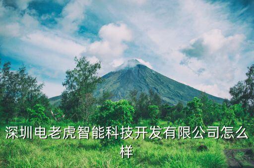 深圳電老虎智能科技怎么樣，深圳靈虎至真智能科技有限公司怎么樣