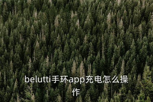belutti手環(huán)app充電怎么操作