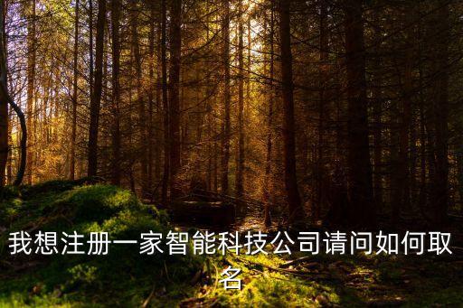 我想注冊(cè)一家智能科技公司請(qǐng)問如何取名