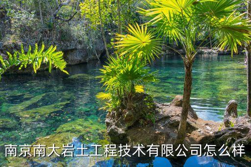 南京祝余智能科技怎么樣，南京南大巖土工程技術(shù)有限公司怎么樣