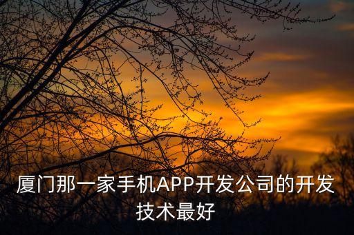 廈門那一家手機APP開發(fā)公司的開發(fā)技術(shù)最好