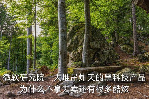微軟研究院一大堆吊炸天的黑科技產(chǎn)品為什么不拿去賣還有很多酷炫