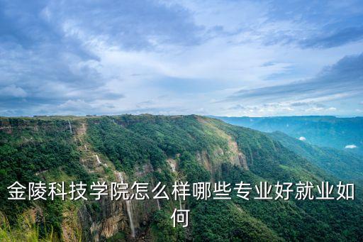 南京硅基智能科技怎么樣，南京硅信智能科技有限公司怎么樣