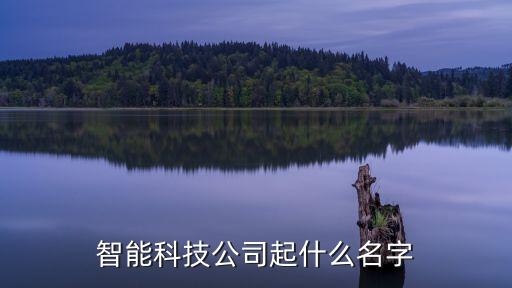 智能科技國語版叫什么名字，智能科技公司起什么名字