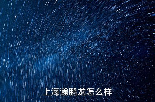 上海瀚鵬龍怎么樣