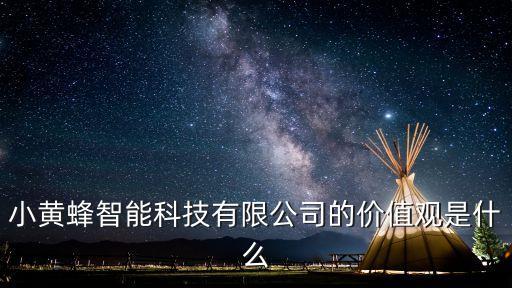 小黃蜂智能科技有限公司的價(jià)值觀是什么
