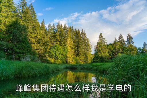 峰峰智能科技怎么樣，峰峰集團待遇怎么樣我是學電的