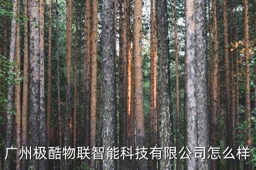 廣州極酷物聯(lián)智能科技有限公司怎么樣
