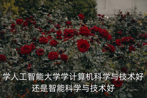 人工智能和科技哪個好學，成都電子科大今年錄的人工智能試驗班和計算機科學與技術那個專業(yè)好