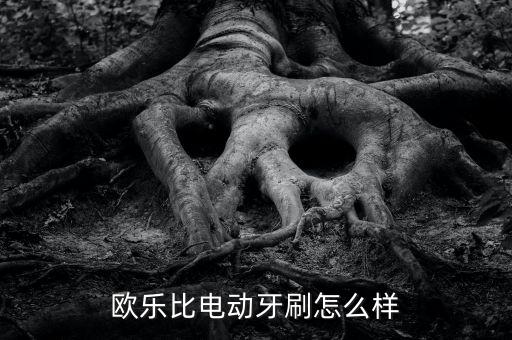 歐樂比電動(dòng)牙刷怎么樣