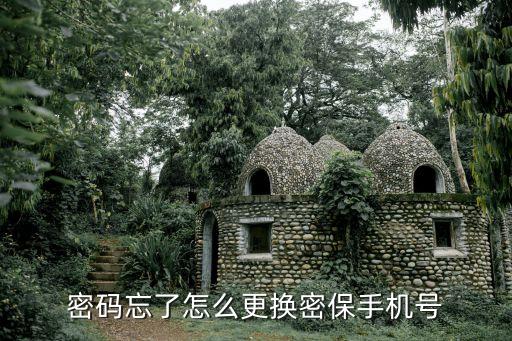 密碼忘了怎么更換密保手機(jī)號(hào)