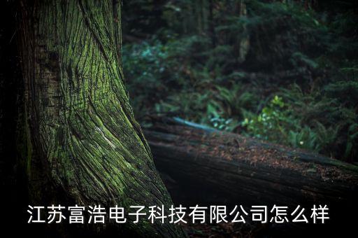 江蘇富浩電子科技有限公司怎么樣