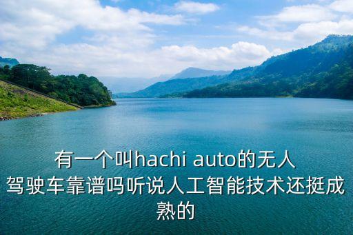 鷹野智能科技多少人，有一個叫hachi auto的無人駕駛車靠譜嗎聽說人工智能技術(shù)還挺成熟的