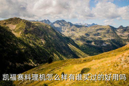 凱福賽料理機(jī)怎么樣有誰買過的好用嗎