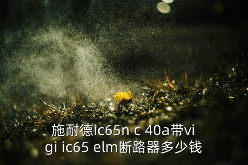 施耐德ic65n c 40a帶vigi ic65 elm斷路器多少錢