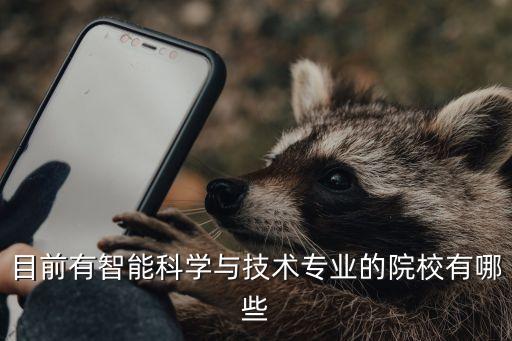 智能科技有哪些大學(xué)，開(kāi)設(shè)智能科學(xué)與技術(shù)的學(xué)校有哪些