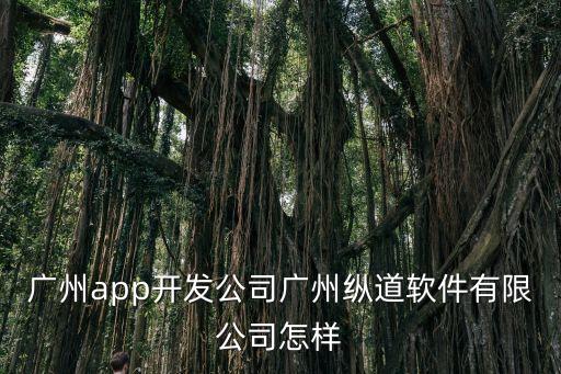 廣州app開發(fā)公司廣州縱道軟件有限公司怎樣