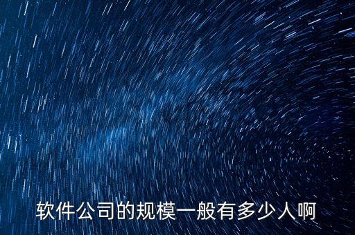 真地智能科技多少人，軟件公司的規(guī)模一般有多少人啊