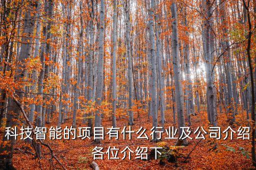 科技智能的項(xiàng)目有什么行業(yè)及公司介紹各位介紹下