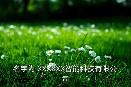 名字為 XXXXXX智能科技有限公司