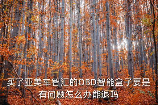 買了亞美車智匯的OBD智能盒子要是有問題怎么辦能退嗎