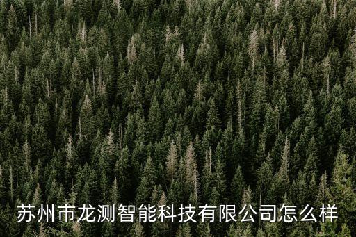 昆山龍雨智能科技怎么樣，蘇州龍雨電子設備有限公司如何