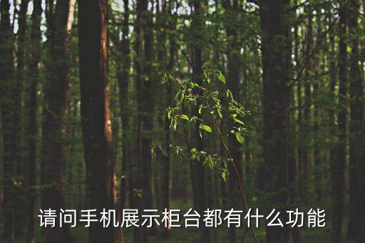 請(qǐng)問(wèn)手機(jī)展示柜臺(tái)都有什么功能