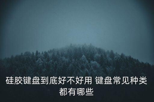 科技智能鍵盤材質(zhì)有哪些，電腦鍵盤上有哪些電子原器件