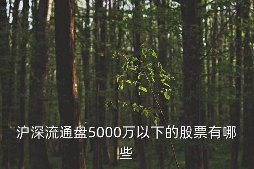 成飛智能科技怎么樣，滬深流通盤5000萬以下的股票有哪些