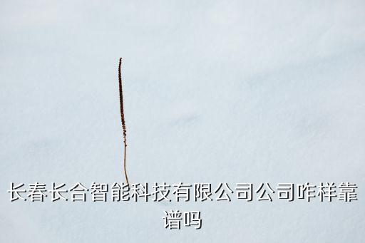 長春長合智能科技有限公司公司咋樣靠譜嗎