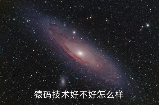 猿碼技術好不好怎么樣
