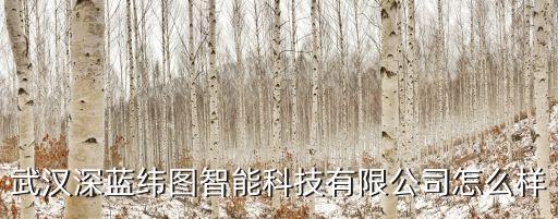 武漢深藍緯圖智能科技有限公司怎么樣