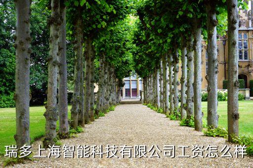 瑞多上海智能科技有限公司工資怎么樣
