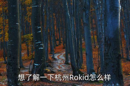 杭州定盤(pán)星智能科技怎么樣，想了解一下杭州Rokid怎么樣