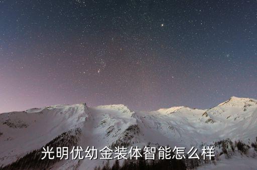 光明優(yōu)幼金裝體智能怎么樣