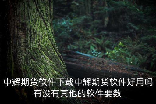 中輝期貨軟件下載中輝期貨軟件好用嗎有沒有其他的軟件要數(shù)