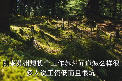 蘇州聞道智能科技怎么樣，剛來(lái)蘇州想找個(gè)工作蘇州聞道怎么樣很多人說(shuō)工資低而且很坑