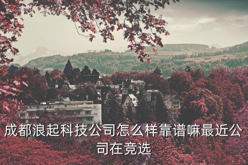 成都浪起科技公司怎么樣靠譜嘛最近公司在競選