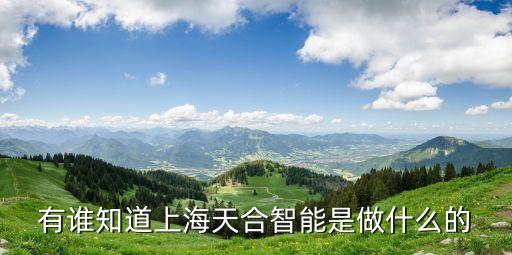 有誰(shuí)知道上海天合智能是做什么的