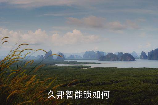 久邦科技智能鎖價格是多少，久邦智能密碼鎖什么價格
